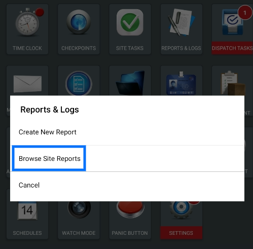 Browse Site Reports.png