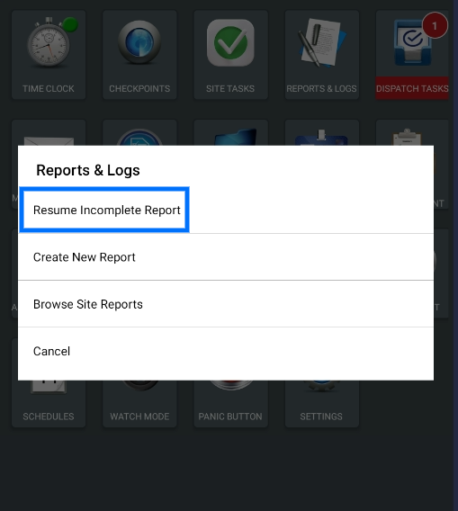 Resume Incomplete Report.png