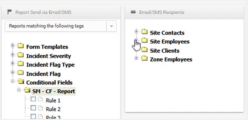 Template expanded to show conditional rules