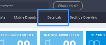 datalabtab.png