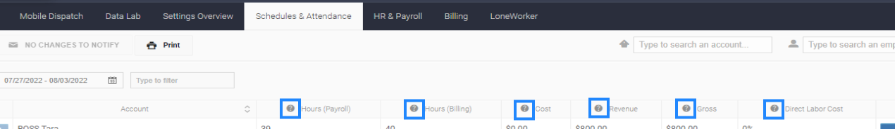 P_L-budgetcolumns-highlighted.png